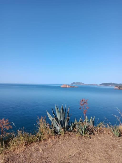 Gli Appartamenti Di Francuzzo Teulada Kültér fotó
